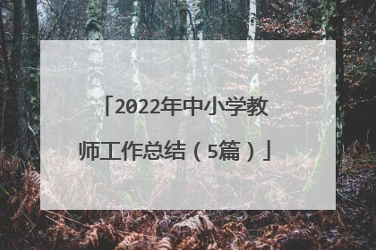 2022年中小学教师工作总结（5篇）
