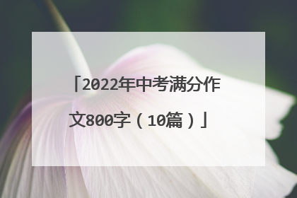 2022年中考满分作文800字（10篇）