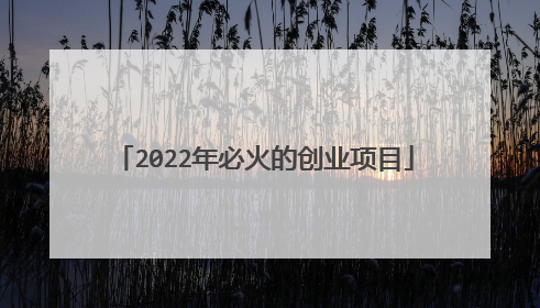 2022年必火的创业项目