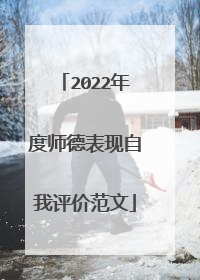 2022年度师德表现自我评价范文