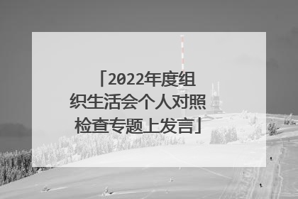 2022年度组织生活会个人对照检查专题上发言