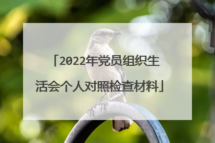 2022年党员组织生活会个人对照检查材料