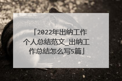 2022年出纳工作个人总结范文_出纳工作总结怎么写5篇