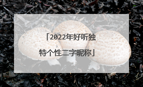 2022年好听独特个性二字昵称