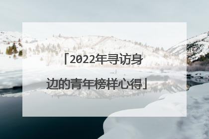 2022年寻访身边的青年榜样心得
