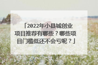 2022年小县城创业项目推荐有哪些？哪些项目门槛低还不会亏呢？