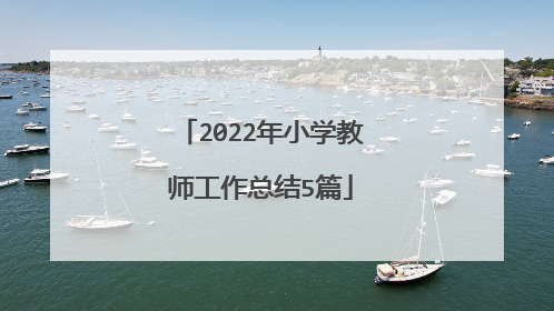 2022年小学教师工作总结5篇