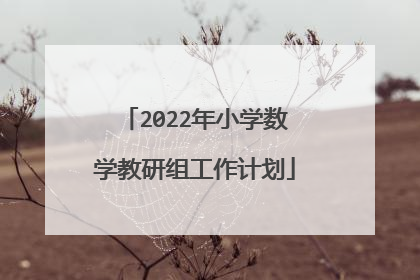 2022年小学数学教研组工作计划
