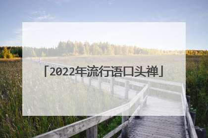 2022年流行语口头禅