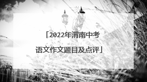 2022年渭南中考语文作文题目及点评