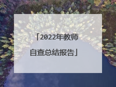 2022年教师自查总结报告