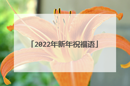 2022年新年祝福语