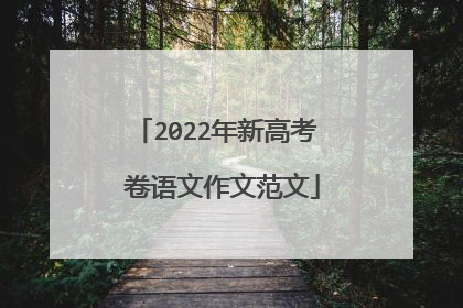 2022年新高考Ⅰ卷语文作文范文