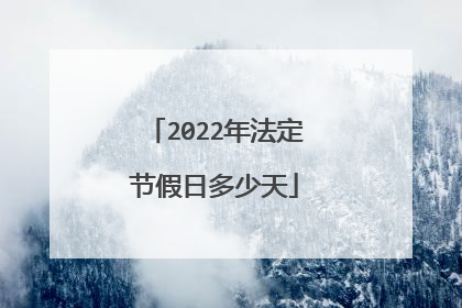 2022年法定节假日多少天
