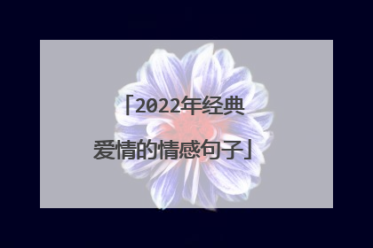 2022年经典爱情的情感句子