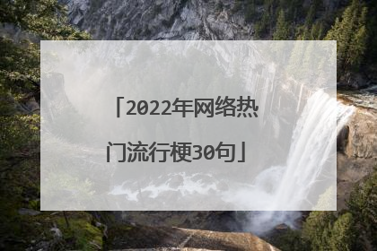 2022年网络热门流行梗30句