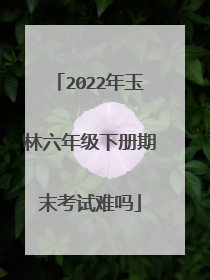 2022年玉林六年级下册期末考试难吗