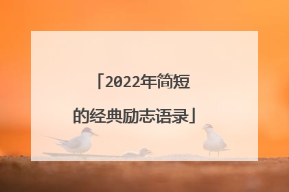 2022年简短的经典励志语录