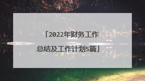 2022年财务工作总结及工作计划5篇