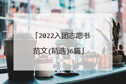 2022入团志愿书范文(精选)6篇
