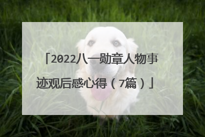 2022八一勋章人物事迹观后感心得（7篇）