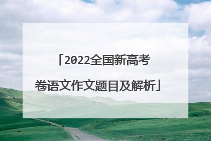 2022全国新高考Ⅱ卷语文作文题目及解析