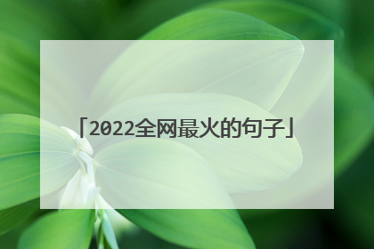 2022全网最火的句子