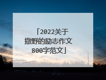2022关于撒野的励志作文800字范文