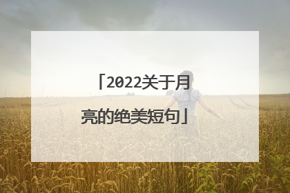 2022关于月亮的绝美短句