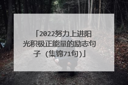 2022努力上进阳光积极正能量的励志句子 (集锦71句)