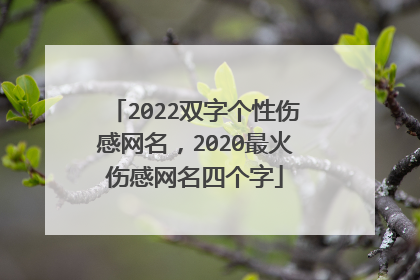 2022双字个性伤感网名，2020最火伤感网名四个字