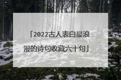 2022古人表白最浪漫的诗句收藏六十句