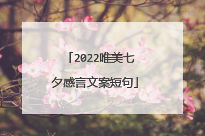 2022唯美七夕感言文案短句