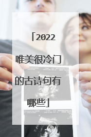 2022唯美很冷门的古诗句有哪些