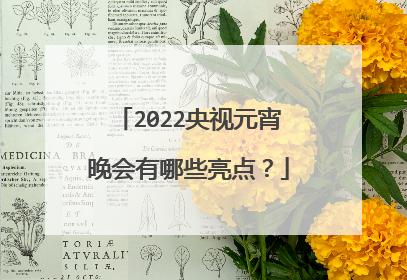 2022央视元宵晚会有哪些亮点?