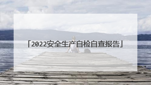 2022安全生产自检自查报告