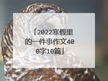 2022寒假里的一件事作文400字10篇