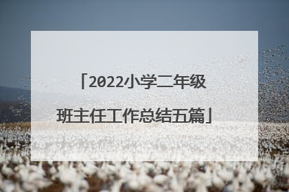 2022小学二年级班主任工作总结五篇