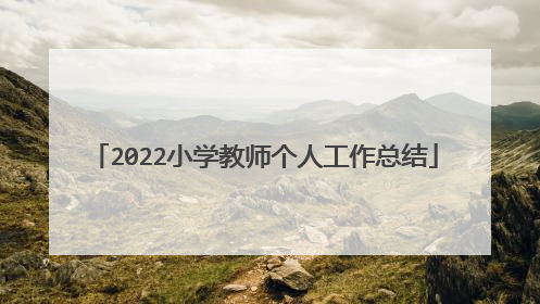 2022小学教师个人工作总结