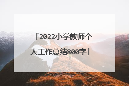 2022小学教师个人工作总结800字