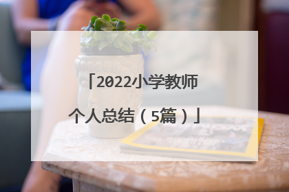 2022小学教师个人总结（5篇）