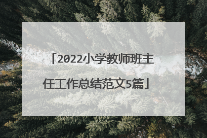 2022小学教师班主任工作总结范文5篇