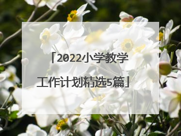2022小学教学工作计划精选5篇
