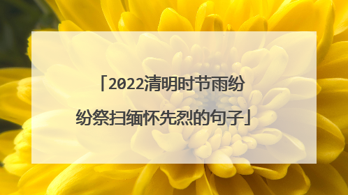 2022清明时节雨纷纷祭扫缅怀先烈的句子