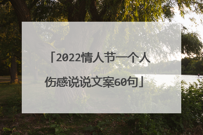 2022情人节一个人伤感说说文案60句