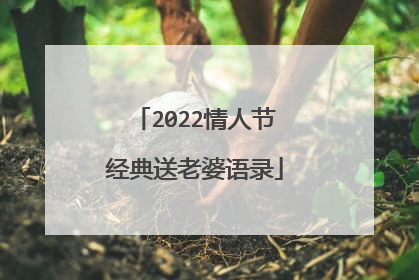 2022情人节经典送老婆语录