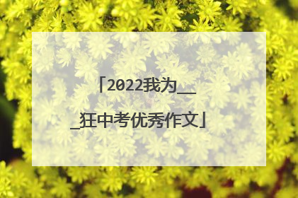 2022我为___狂中考优秀作文