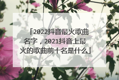 2022抖音最火歌曲名字，2021抖音上最火的歌曲前十名是什么