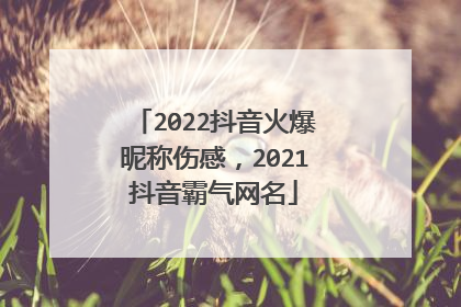 2022抖音火爆昵称伤感，2021抖音霸气网名