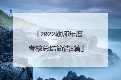 2022教师年度考核总结简洁5篇